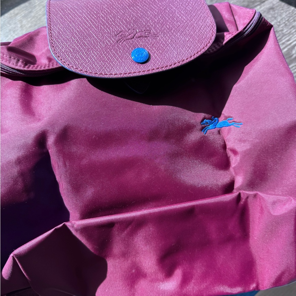 Purple Foldable Backpack